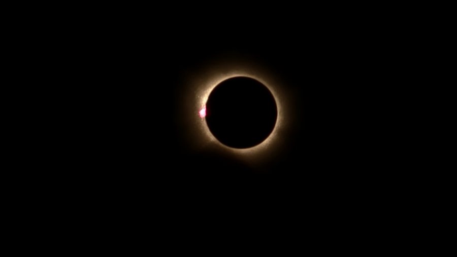 20260812 202942