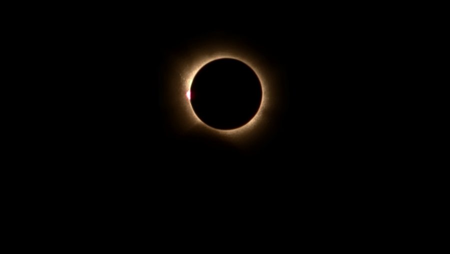 20260812 202950